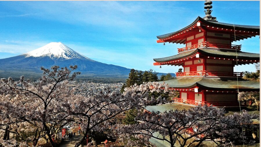 Mt Fuji Sightseeing Private tour with English Speaking Guide - Key points to know before booking