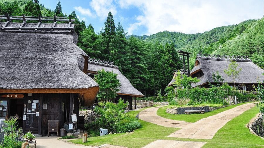 Mt Fuji Sightseeing Private tour with English Speaking Guide - Hakone Shrine, Lake Ashi, and Owakudani