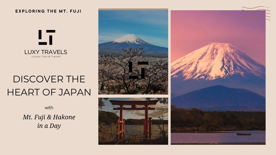 Mt Fuji Sightseeing Private tour with English Speaking Guide - Reaching Mt. Fuji 5th Station