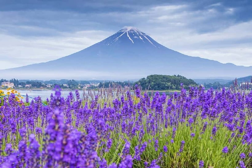 Mt Fuji Top 5 Spots Day Tour: Arakurayama Park,Oshino Hakkai - Arakurayama Sengen Park and the 397-step climb