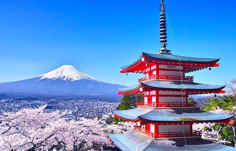 Mt Fuji Top 5 Spots Day Tour: Arakurayama Park,Oshino Hakkai - Who should book this day trip