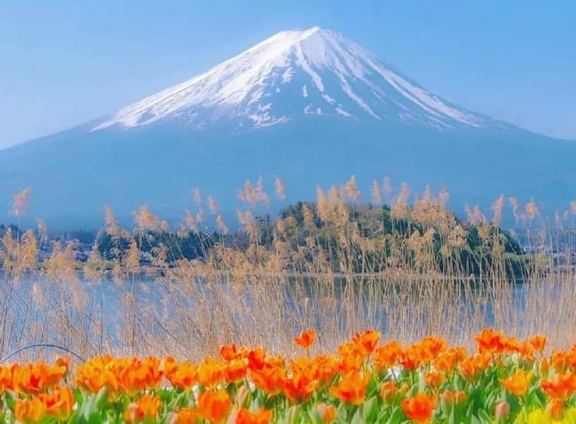 Mt Fuji Top 5 Spots Day Tour: Arakurayama Park,Oshino Hakkai - Hikawa Clock Shop and the Stairway to Heaven street