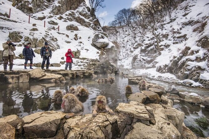 Mt. Fuji Tours to Lake Kawaguchi and Yamanaka Onsen English Guide - Mt. Fuji 5th Station: closer to the summit from April through September