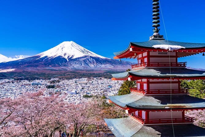 Mt. Fuji Tours to Lake Kawaguchi and Yamanaka Onsen English Guide - Price, timing, and what is not included