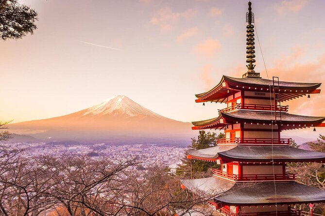 Mt. Fuji Tours with Kawaguchi Lake Ropeway View English Speaking - Riding the Kachikachi ropeway above Lake Kawaguchi