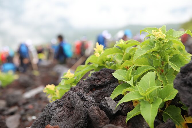 Mt.Fuji Trekking 1 Day Tour up to the summit - Gear and support included on the trail