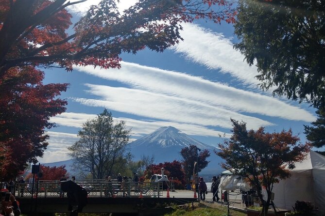 Mt Fuji with Kawaguchiko Lake Day Tour - Oishi Park and the first view of Lake Kawaguchi