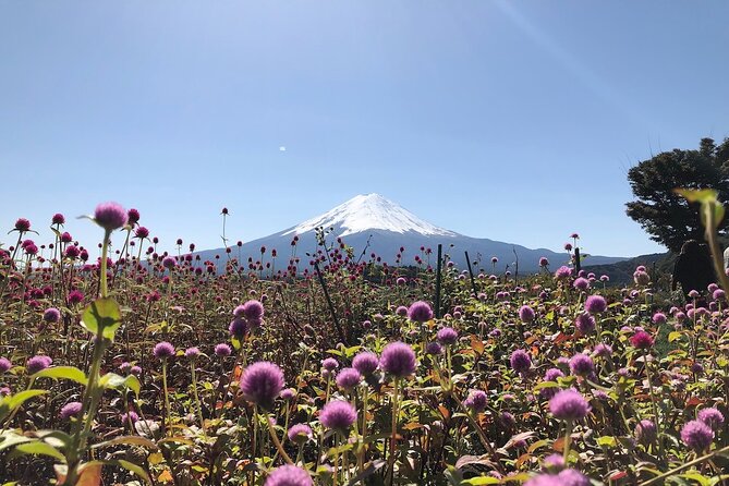 Mt Fuji with Kawaguchiko Lake Day Tour - Oshino Hakkai and Fuji’s clear spring water