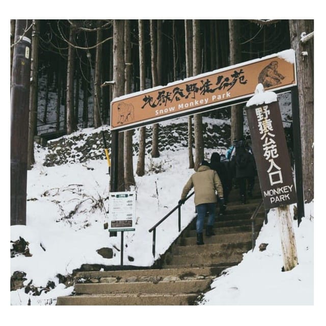 Nagano Tokyo: Snow Monkey Private Day Tour Hotel Pick & Drop - The real highlight, Jigokudani’s snow monkeys