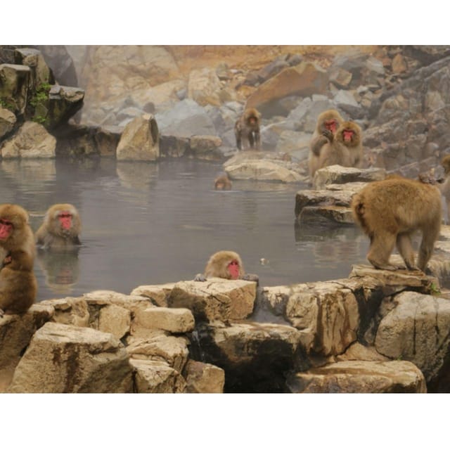 Nagano Tokyo: Snow Monkey Private Day Tour Hotel Pick & Drop - Shibu Onsen, old streets and a possible soak