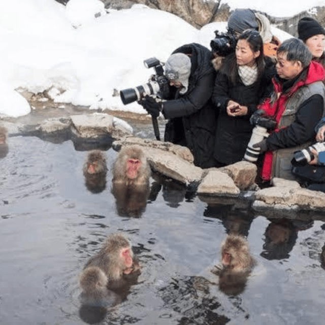 Nagano & Tokyo: Snow Monkey & Zenkoji Temple Private Tour - Matsushiro Castle Ruins and the Sanada connection