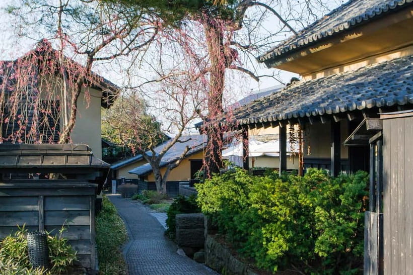 Nagano & Tokyo: Snow Monkey & Zenkoji Temple Private Tour - Pickup, drop-off, and luggage planning