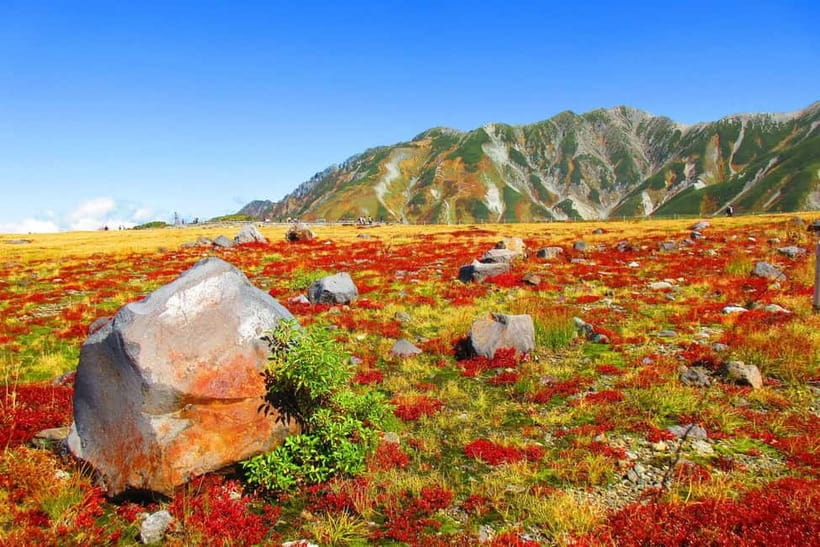 Nagano: World’s Edge Tateyama Kurobe Alpine Route Tour - Key points to know before booking