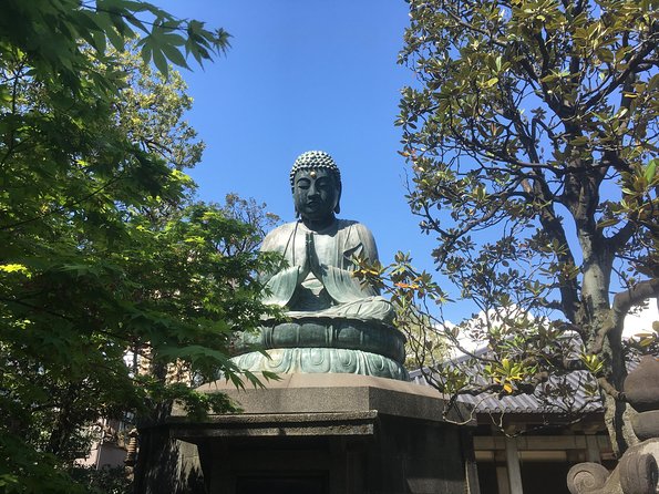 Nezu Shrine and Yanaka backstreet walking tour by Storyteller - Yanaka Ginza, where the walk turns social