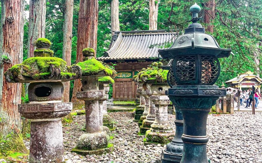 Nikko: Day Tour from Tokyo in Spanish - Spanish - The guides and the human side of the day