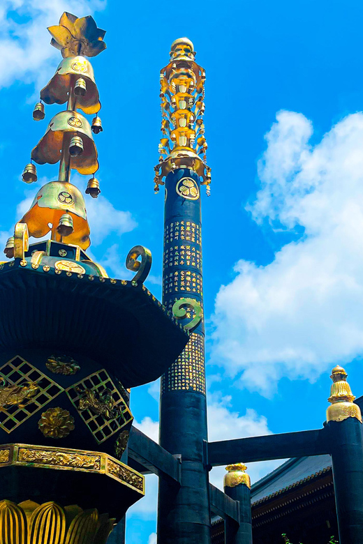 Nikko: Day Tour from Tokyo in Spanish - Spanish - Meeting in Asakusa and taking the express train