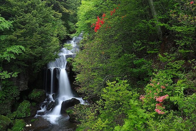 Nikko Day Tour Private with English Speaking Driver - Why Nikko makes a worthwhile escape from Tokyo