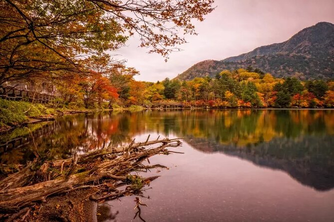 Nikko Day Tour Private with English Speaking Driver - Kegon Falls is the main nature stop