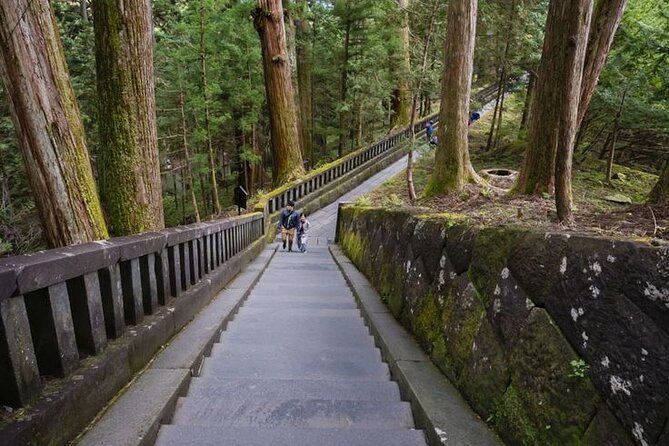 Nikko Full day private experience with English speaking Driver - Lake Chuzenji and the high mountain air