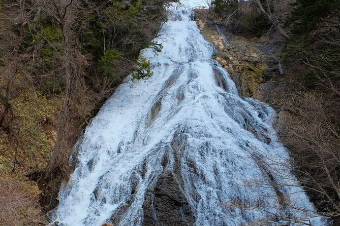 Nikko Full day private experience with English speaking Driver - Who will get the most from this day