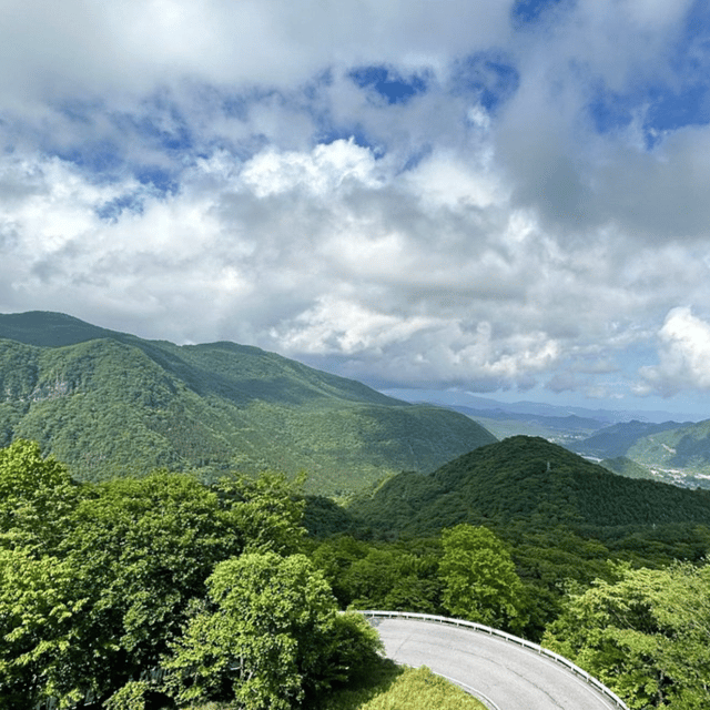 Nikko Heritage & Nature Day Trip from Tokyo - Toshogu Shrine and the cedar-lined approach