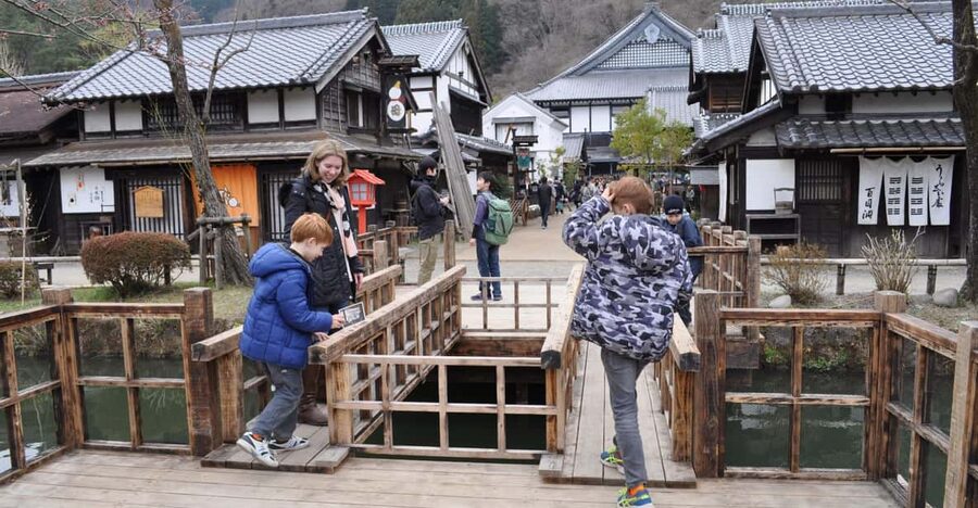 Nikko in Style: Luxury private Day Tour with English guide - Toshogu Shrine is the cultural heart of the day