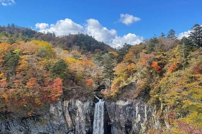 Nikko Private Day Tour with Guide by Car (from Tokyo) - The Romantic Road to Lake Chuzenji