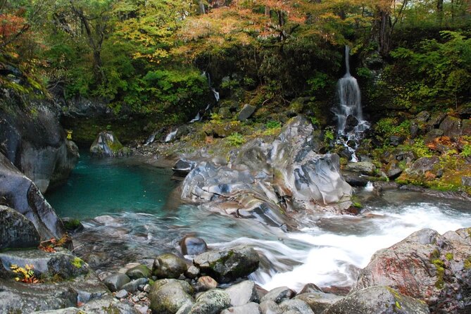 Nikko Private SightSeeing Day Tour With Guide (From Tokyo) - Tamozawa Imperial Villa Shows a Different Japan