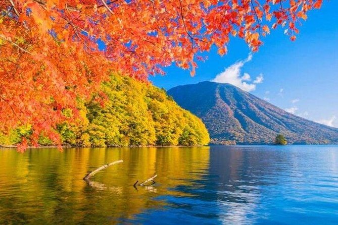 Nikko Private Tour from Tokyo with Licensed Guide and Vehicle - Kegon Falls and Lake Chuzenji