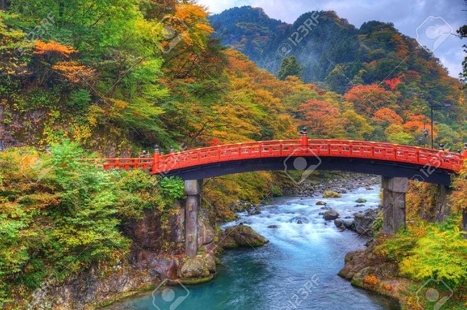 Nikko private tour with English speaking guide - What the English-speaking driver changes