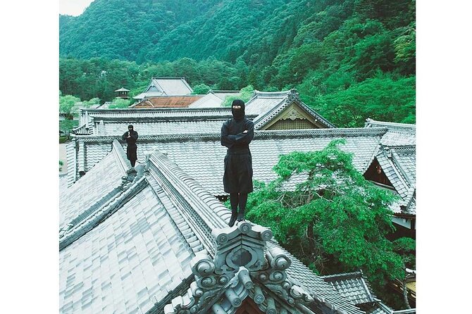 Nikko private tour with English speaking guide - Private transport versus taking the train