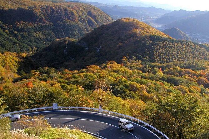 Nikko private tour with English speaking guide - What the $599 price really includes