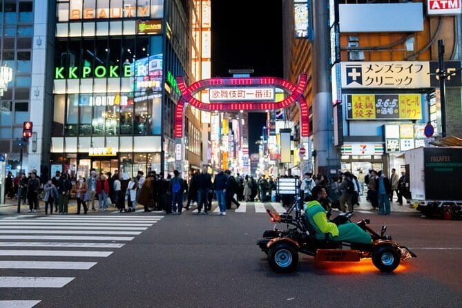 Official Japan Go-Kart Through Shibuya / Shinjuku (IDP Required) - Shinjuku Gyoen, the first calm view