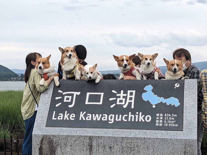 One Day 10hrs Mount Fuji Tour English Speaking Driver - Mount Fuji Fifth Station and the weather question