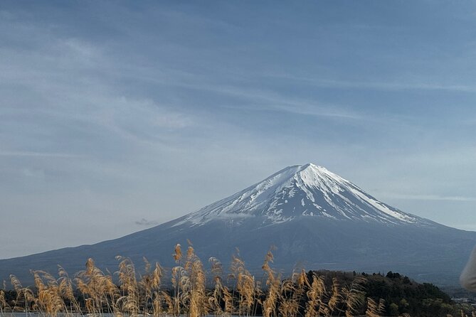 One day mountain Fuji & Hakone tour with English hindi bilingual - Kitaguchi Hongu Fuji Sengen Jinja in the cedar forest