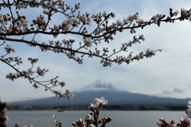 One day mountain Fuji & Hakone tour with English hindi bilingual - Oshino Hakkai’s eight spring ponds
