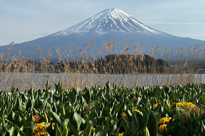 One day mountain Fuji & Hakone tour with English hindi bilingual - Owakudani Valley and Hakone’s black eggs