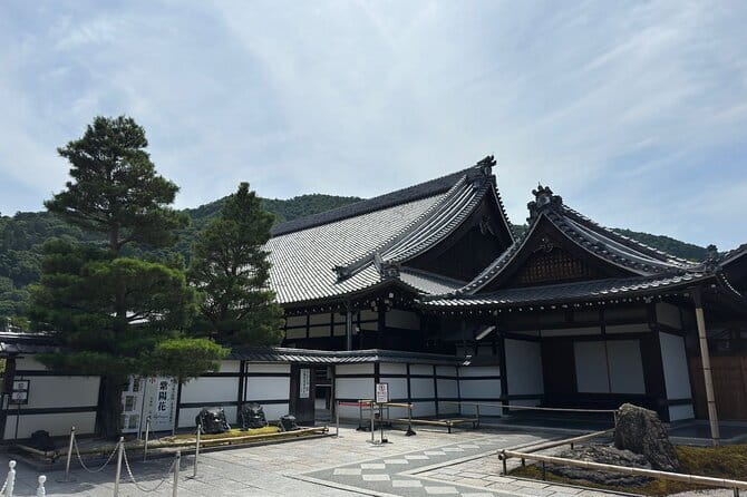 One Day Private Tour in Kyoto and Nara From Osaka - What the driver service really provides