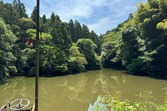 One Day Private Tour in Kyoto and Nara From Osaka - Nara Park and its famous deer