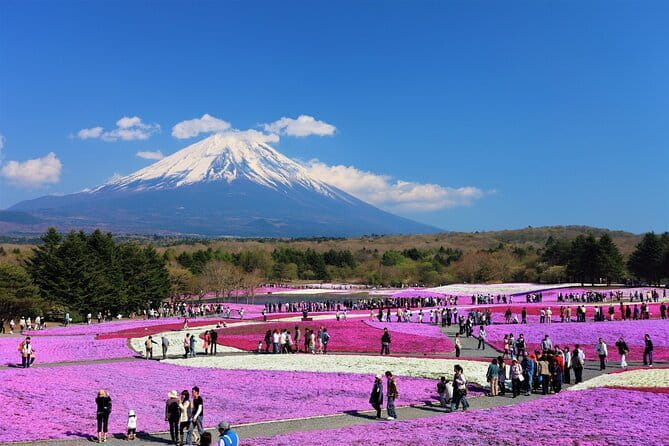 One day private tour to Nikko with English speaking driver - Lake Chuzenji brings the mountains into view