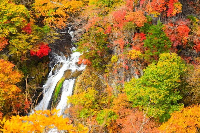 One day private tour to Nikko with English speaking driver - Kegon Falls supplies the big finish