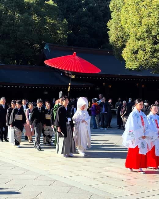 Perfect Start for your Japan Trip - Private Tour in Tokyo - Meiji Jingu: a quiet start beside Harajuku