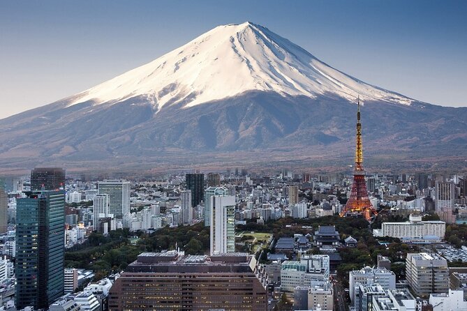 Private Airport transfer Haneda Airport(HND) to Tokyo City - How the service handles the human side
