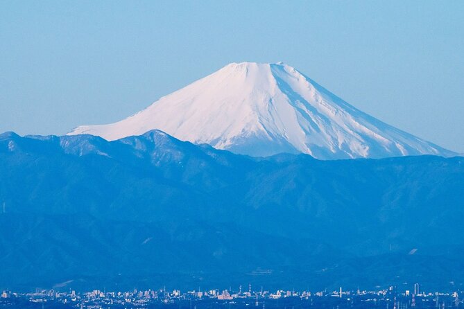 Private Airport transfer Haneda Airport(HND) to Tokyo City - Who should book this Haneda transfer