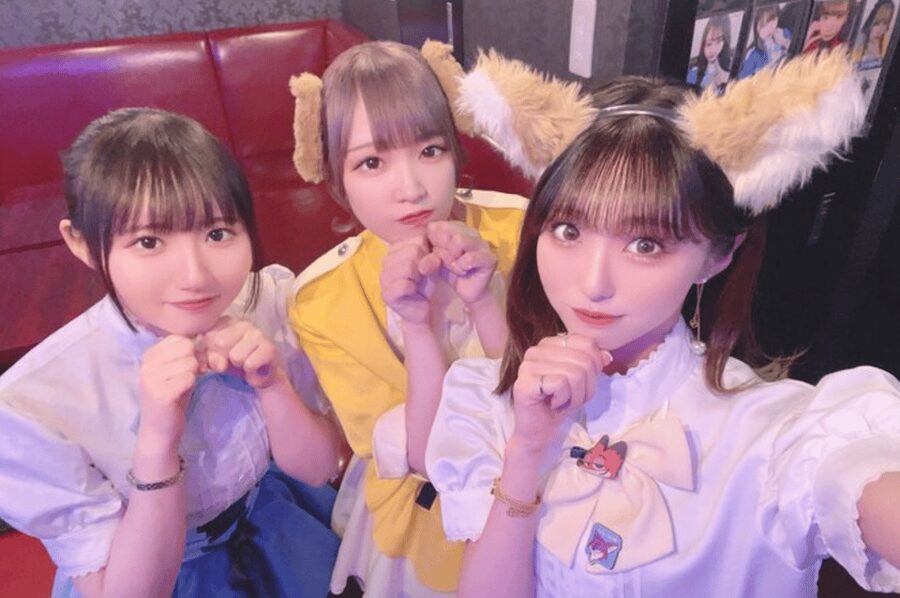 Private Akihabara Anime Game Maid Cafe Tour w/ free pickup - Shaping the route around anime, games, and figures