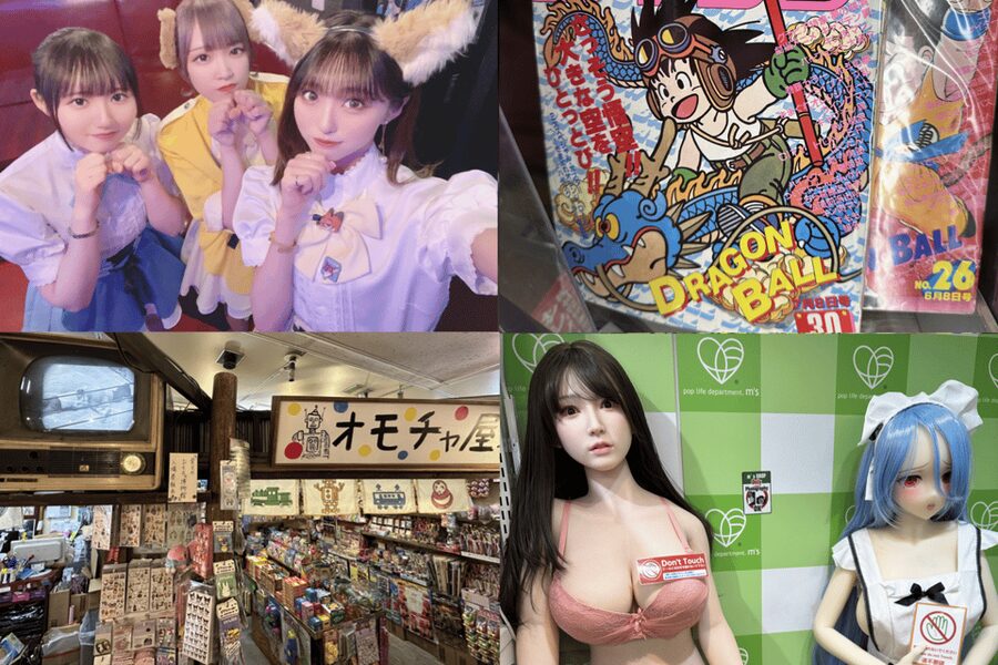 Private Akihabara Anime Game Maid Cafe Tour w/ free pickup - Starting with pickup in central Tokyo