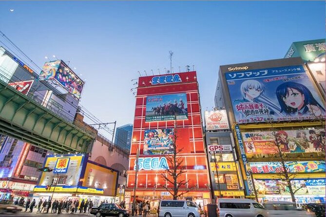 Private Akihabara Anime Guided Walking Tour - Who should book this Akihabara experience