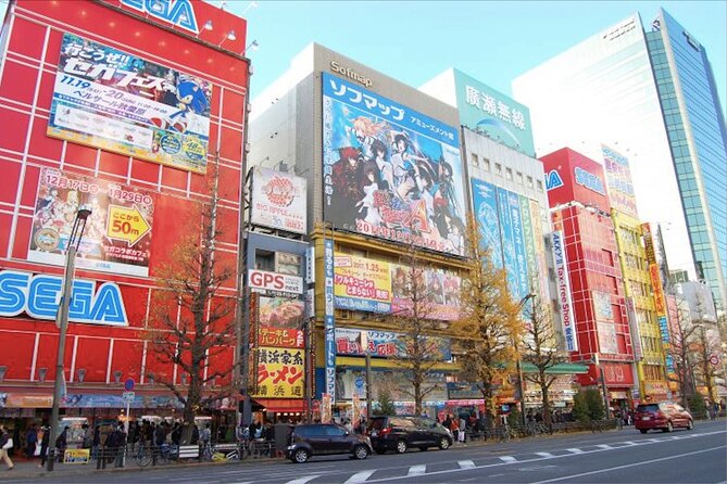 Private Akihabara Anime Guided Walking Tour - Animate Akihabara and the appeal of a large specialty store