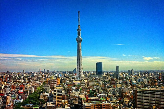 Private Arrival Transfer : Haneda Airport to Central Tokyo City - Meeting your driver at Haneda Airport