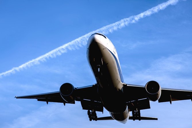 Private Arrival Transfer : Haneda Airport to Central Tokyo City - Flight delays, early arrivals, and the waiting period